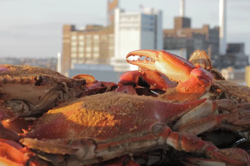 Locust Point Steamers — crabs with locust point skyline